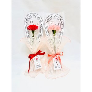 카네이션 비누꽃 한송이 스승의날선물, 분홍, 2개