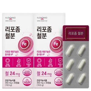 일동 리포좀 철분제 미니 영양제 임산부 여성 남성 청소년, 2개, 30정