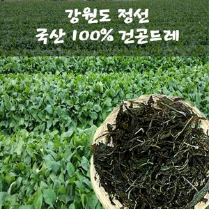 들꽃팜 건곤드레나물 50g 국내산100%, 1개