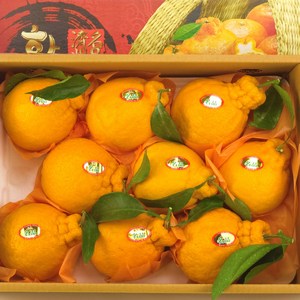 [15 Brix] 명품 당도선별 한라봉 정품 세트, 당도선별 한라봉 로얄특대 (7~11과) 3kg, 1개