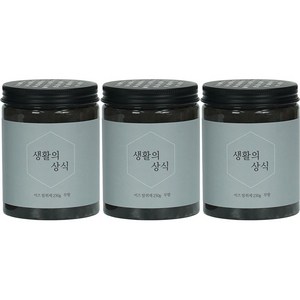 생활의상식 비즈 냄새제거 실내 탈취제, 250g, 3개