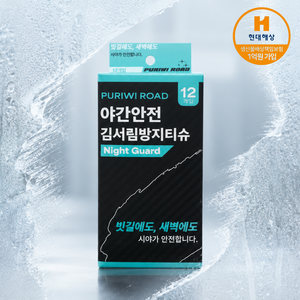 김서림방지티슈 차량김서림방지 12매 낱개포장 앞유리김서림제거 비오는날 새벽출발 자동차김서림방지티슈, 12개, 8g