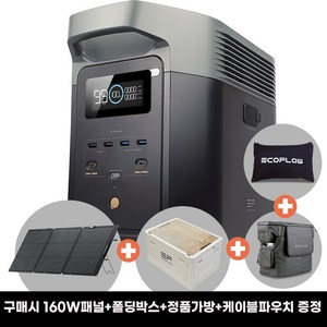 [한국정품5년보증] 에코플로우 델타2 + 태양광160W패널 EFD330 인산철 파워뱅크 차박 캠핑배터리 1024Wh, 1개, 1개