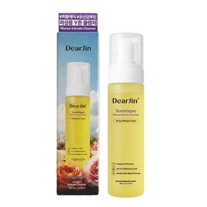 디어진 센티크 여성 청결제 Y존 질 세정제 약산성 페미닌워시 냄새 케어, 1개, 190ml