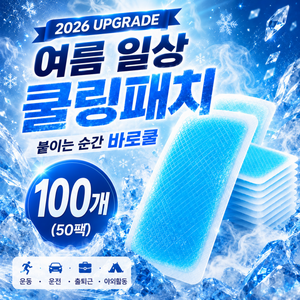 리브렉 바로쿨 아이스 쿨패치 붙이는 쿨링 패치, 100개