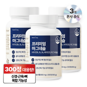 뉴트리정 프리미엄 마그네슘 대용량, 3개, 300정