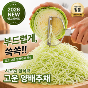노딕스 와이드 양배추 채칼 얇게 썰리는 슬라이스, 1개, 모노스틸