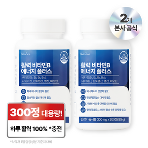 뉴트리정 활력 비타민B 에너지 플러스 대용량, 2개, 300정