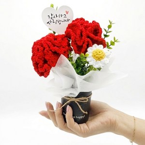 뜨개질 카네이션 꽃화분 + 쇼핑백, 화이트, 1개