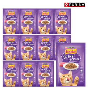 프리스키 고양이 퓨리나 그레이비 주식 습식 파우치 참치맛, 닭, 70g, 12개