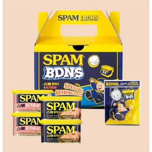 스팸 BDNS 클래식 200g x 2p + 닭가슴살 200g x 2p + 키링 세트, 1세트