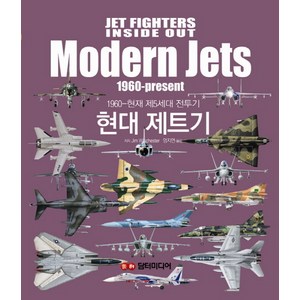 현대 제트기, 담터미디어