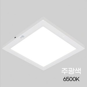 비츠온 LED 엣지 사각 센서등 8인치 20W, 주광색, 1세트