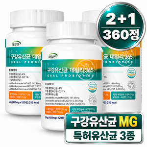 매일엔 MG 특허 식약청 인증 haccp 구강 유산균 데일리 365, 3개, 120정