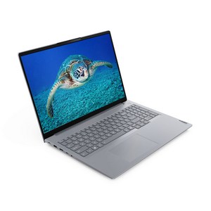 레노버 2025 씽크북 16IAL G8 코어Ultra5, Arctic Grey, 1TB, 32GB, Free DOS, 21SK0085KD