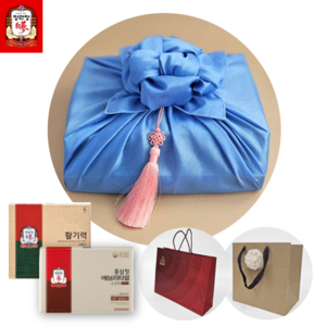 정관장 홍삼정 에브리타임 소프트 20포 활기력 16개입 백화점 보자기 포장 쇼핑백 선물세트, 1세트, 520ml