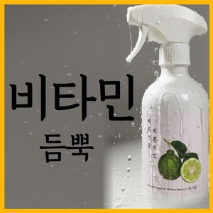 버그맘 비타민듬뿍넣은 피톤치드 시트러스피톤치드 편백오일 베르가못오일 100 % 원액 편백스프레이 베이크아웃 새집증후군, 1, 500ml