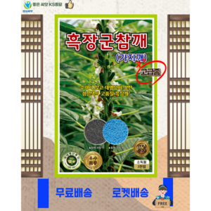 흑참깨 씨앗(1천립) 흑장군흑참깨 고급종 영웅씨앗 흘깨 검은깨, 1개