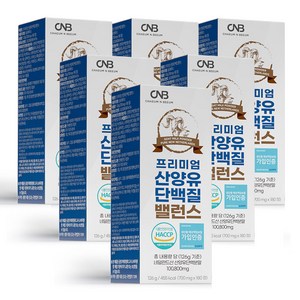 프리미엄 산양유 단백질 밸런스 정, 126g, 6개