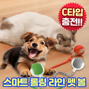 앤트앤비 스마트 롤링 라인 펫 볼 강아지 고양이 장난감, 1개, 그린