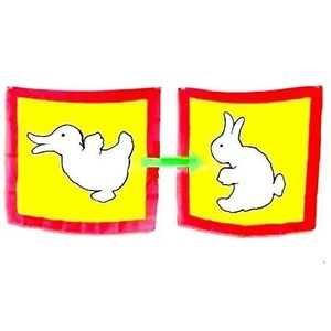 [요술팡팡] 마술용품 초보마술 토끼오리 스카프 오리로 변하는 토끼 스카프 착시마술, 1개