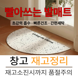 리빙드홈 강력흡수 빨아쓰는 규조토 발매트, 크림