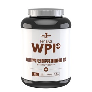 원데이뉴트리션 초코맛_단백질 쉐이크 헬스 보충제 분리 유청 웨이프로틴 WPI UP 용기, 1개, 1.2kg