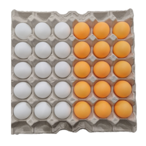 [KC인증] GOODBUY 탁구공빙고 계란판빙고 4type 탁구공게임 단체게임 집콕게임, 탁구공 기본 30알, 1개