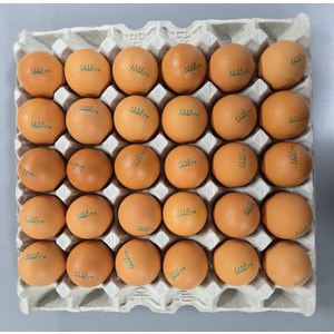 [알부자집] 무항생제계란 대란(52g~59g), 30구, 5개 골드박스 특가