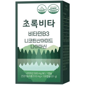 초록비타 고용량 비타민B3 500mg (나이아신아마이드 니코틴산아미드 미국산 원료), 1개, 100정