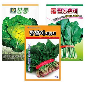 주주씨앗 월동채소씨앗 3종세트 노지월동씨앗 종자 봄동 월동시금치 월동춘채 겨울초 포항초 섬초 동초 땅딸이, 1개