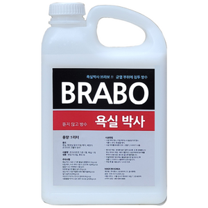 뜯지 않고 욕실방수-침투방수 욕실박사 브라보 - 1L, 1개