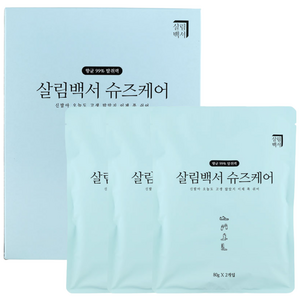 살림백서 슈즈케어 신발탈취제, 480g, 1개