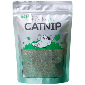 3651 리얼캣닢 고양이 캣그라스 대용량, 1개, 100g, 캣닢 가루