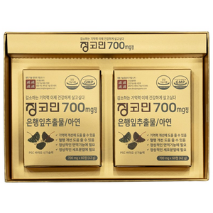동방제약 징코민 은행잎 추출물 혈액순환 징코 오리지널, 1개, 60회분