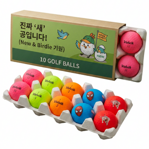 볼빅 골프공 컬러 선물세트, 1개, 10개입, 컬러혼합 / 진짜새공입니다