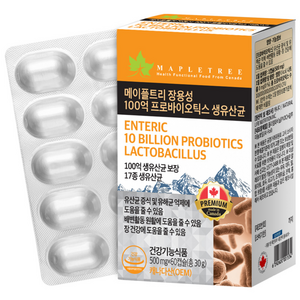 메이플트리 장용성 100억 프로바이오틱스 생유산균, 1개, 60정