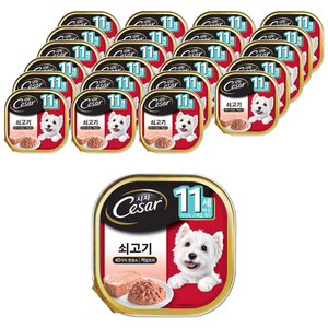 시저 11세 이상 시니어 강아지 주식캔, 소, 100g, 24개