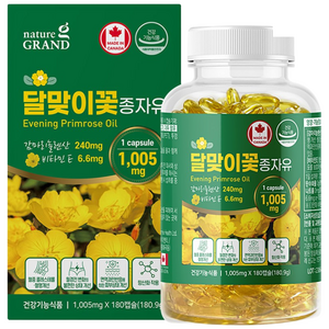 네이처그랜드 달맞이꽃종자유 180캡슐 감마리놀렌산 콜레스테롤개선 GLA, 1개, 180정