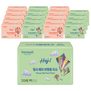 탐사 헤이 여행용티슈 2겹 70매, 20개