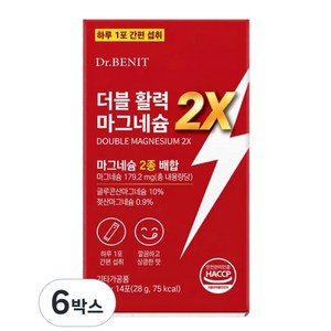 더블 활력 젖산마그네슘 식약처 인증, 6박스, 14회분