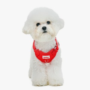 왈츠 강아지하네스 목줄 하네스 앞섬방지 슬개골 H형 가슴줄 소형견, 레드, 1개