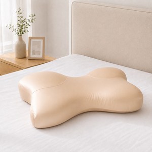 호메오라 경추베개 메모리폼 인체공학 숙면 베개 나비형 통기성 베개, 1개, 샴페인 베이지