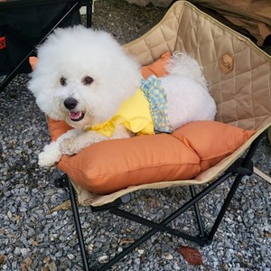 바자르 반려동물 10수 캔버스면 사각 라운지베드, 브릭, 1개
