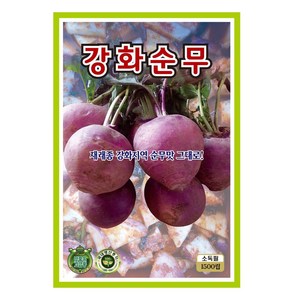 식물의집 강화순무 씨앗 단단한 순무씨앗 씨, 1개