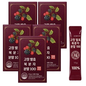 고창 발효 복분자분말 고창복분자발효추출농축분말 100% 국내산 복분자가루 식약청인증 (HACCP), 5박스, 14회분