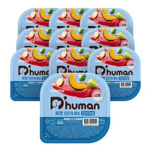 듀먼 전연령용 강아지 오리지널 화식사료, 오리+채소, 50g, 30개