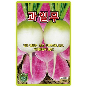 산들마켓 과일무 씨앗 100립 겉은 일반무 속은 수박색으로 달고 아삭한 맛이 일품인 고급 품종 종자, 1개