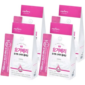 요거베리 스타터 플레인 요거트 파우더, 2g, 10개입, 4개