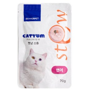 베러펫 고양이습식사료 고양이사료 주식 파우치, 70g, 6개, 닭